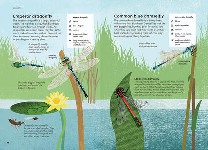 RSPB Nature Guide: Wildlife Illustrated Field Guide