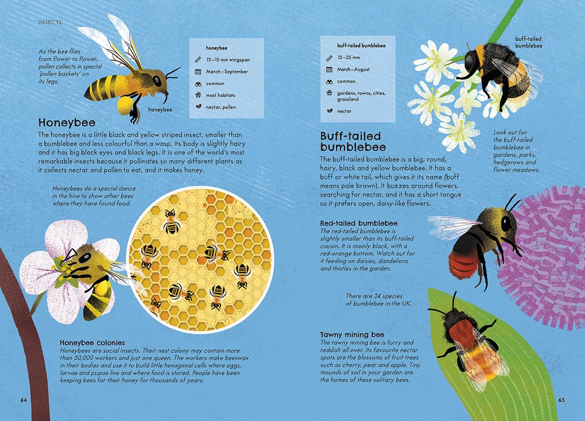 RSPB Nature Guide: Wildlife Illustrated Field Guide