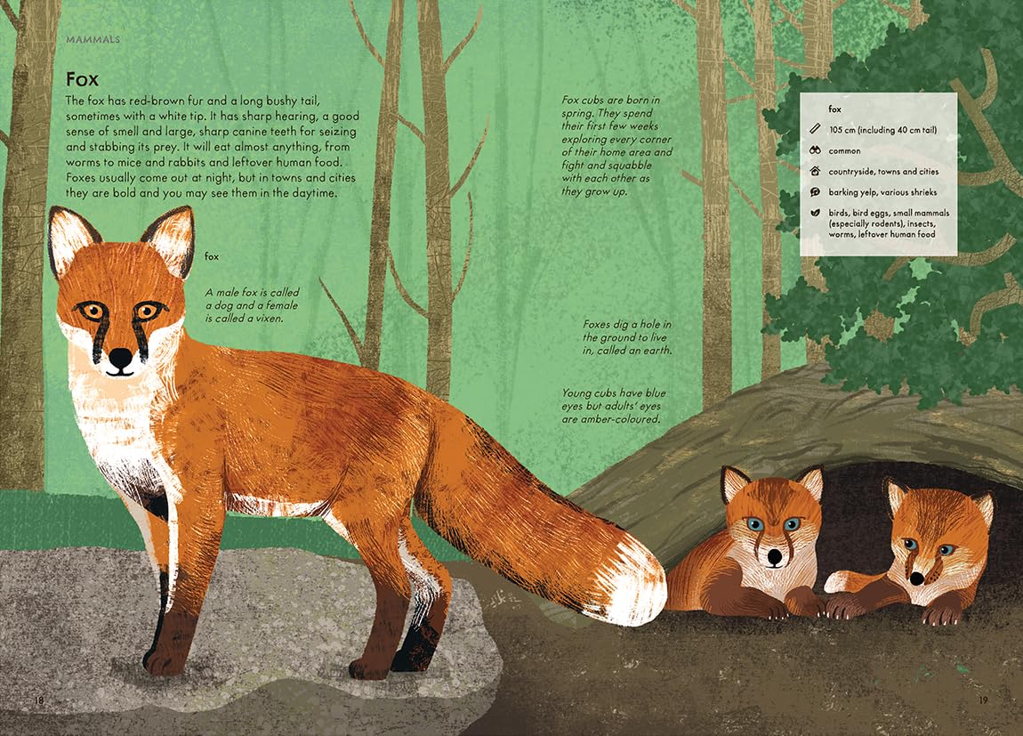 RSPB Nature Guide: Wildlife Illustrated Field Guide