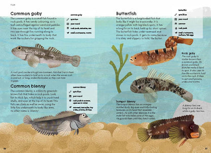 RSPB Nature Guide: Seashore Illustrated Field Guide