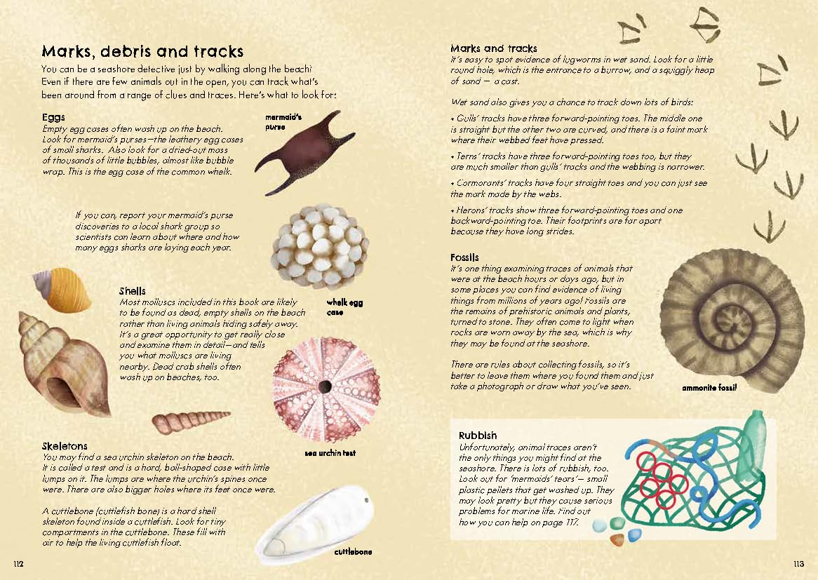 RSPB Nature Guide: Seashore Illustrated Field Guide