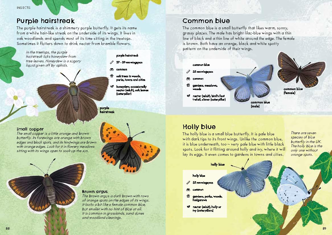 RSPB Nature Guide: Minibeasts Illustrated Field Guide