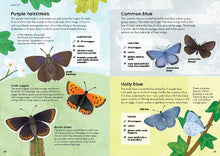 RSPB Nature Guide: Minibeasts Illustrated Field Guide