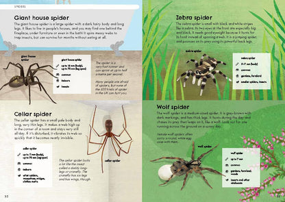RSPB Nature Guide: Minibeasts Illustrated Field Guide