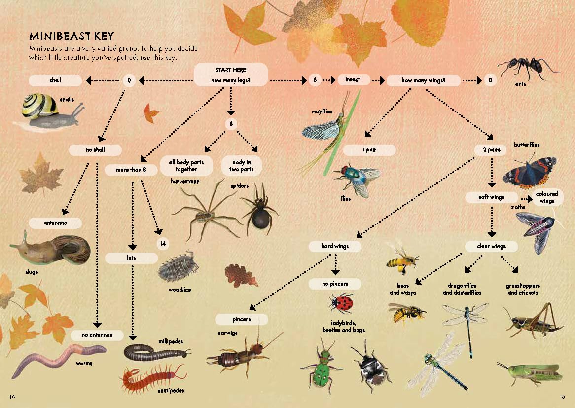 RSPB Nature Guide: Minibeasts Illustrated Field Guide