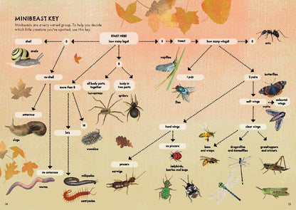 RSPB Nature Guide: Minibeasts Illustrated Field Guide