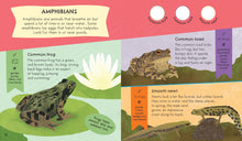 RSPB Nature Spotter: Wildlife Sticker Guide