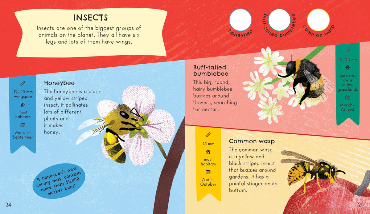 RSPB Nature Spotter: Wildlife Sticker Guide