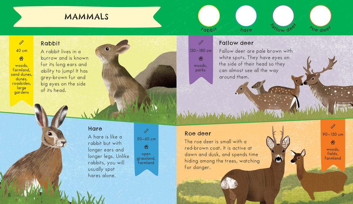 RSPB Nature Spotter: Wildlife Sticker Guide