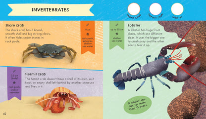 RSPB Nature Spotter: Wildlife Sticker Guide