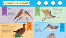 RSPB Nature Spotter: Birds Sticker Guide