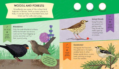 RSPB Nature Spotter: Birds Sticker Guide