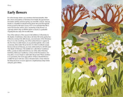 The Wildlife Year Hardback