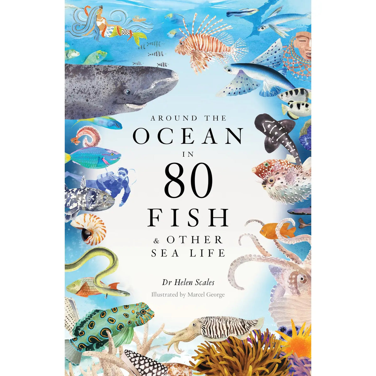 Around the Ocean in 80 Fish and Other Sea Life Hardback