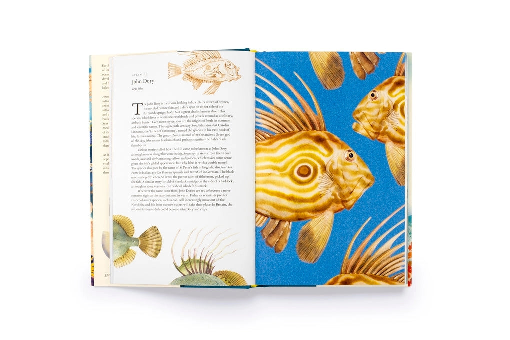 Around the Ocean in 80 Fish and Other Sea Life Hardback