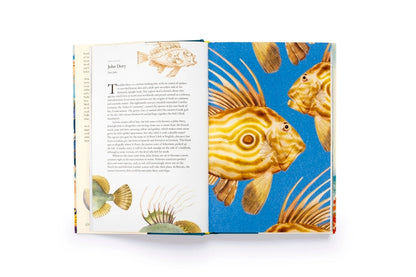 Around the Ocean in 80 Fish and Other Sea Life Hardback