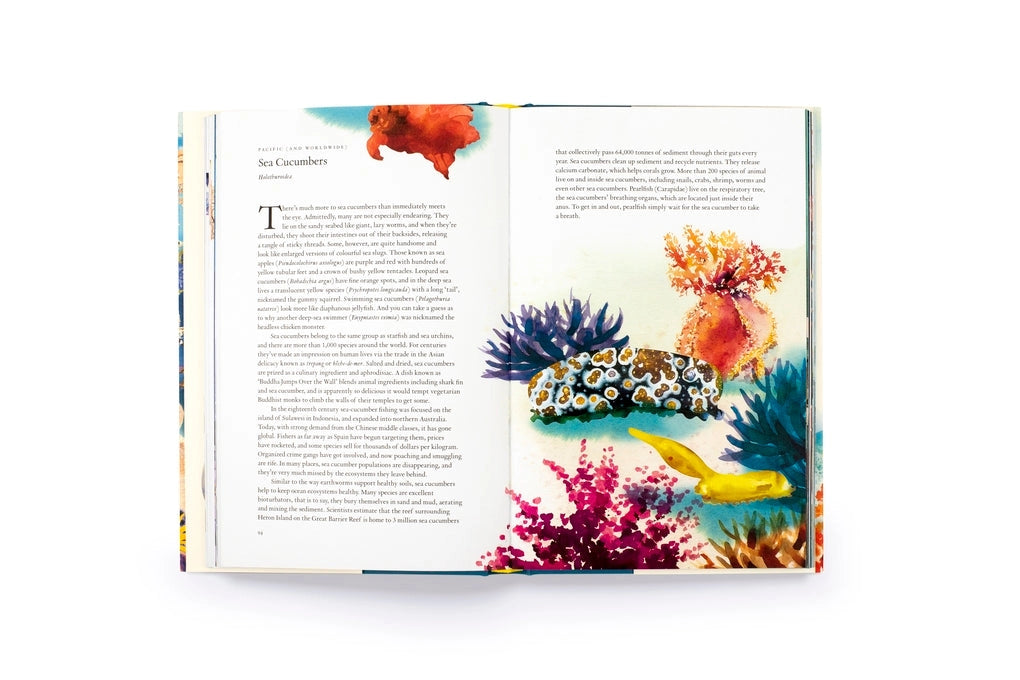 Around the Ocean in 80 Fish and Other Sea Life Hardback