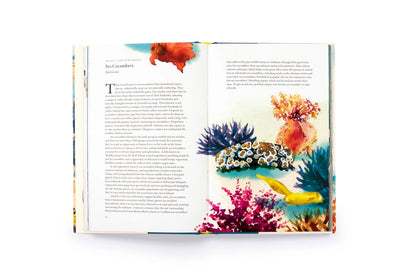 Around the Ocean in 80 Fish and Other Sea Life Hardback