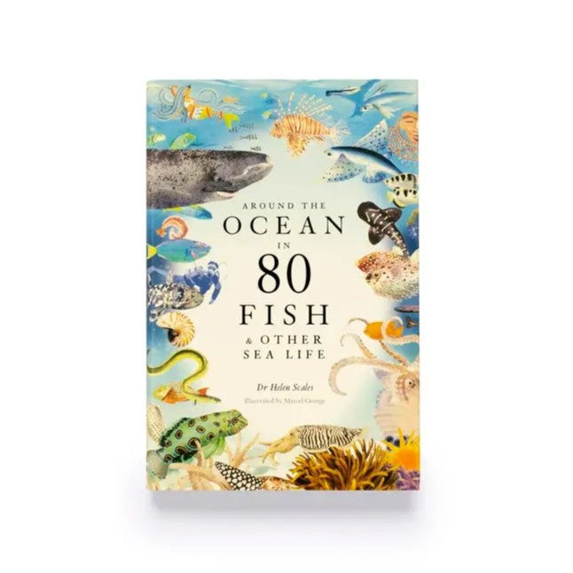 Around the Ocean in 80 Fish and Other Sea Life Hardback