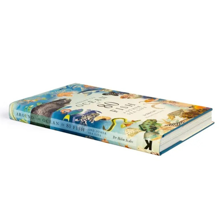 Around the Ocean in 80 Fish and Other Sea Life Hardback