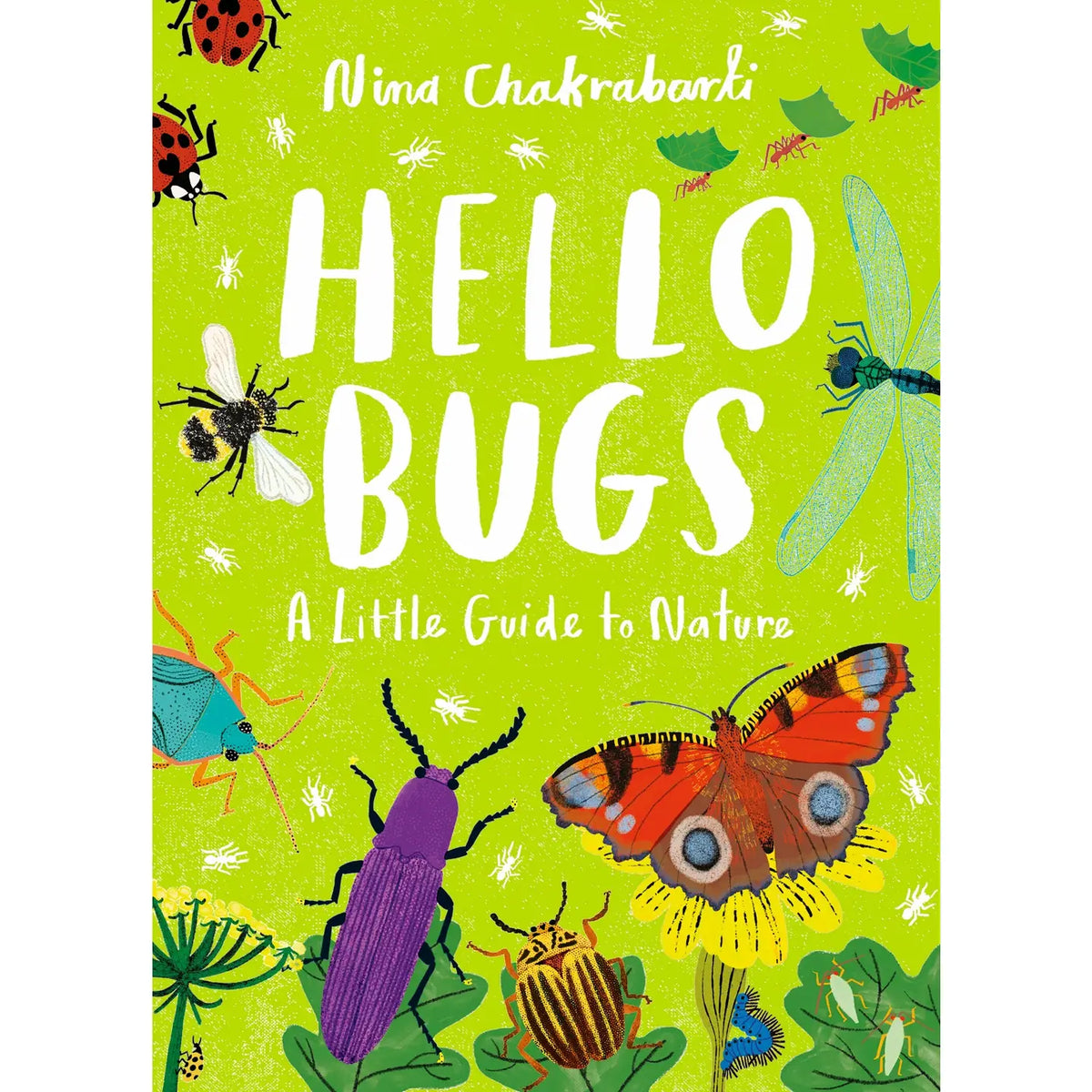 Little Guides to Nature: Hello Bugs Hardback
