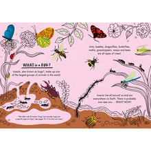 Little Guides to Nature: Hello Bugs Hardback