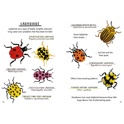 Little Guides to Nature: Hello Bugs Hardback