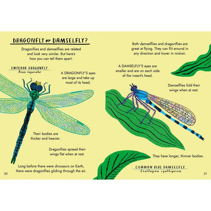 Little Guides to Nature: Hello Bugs Hardback