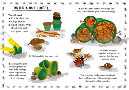 Little Guides to Nature: Hello Bugs Hardback