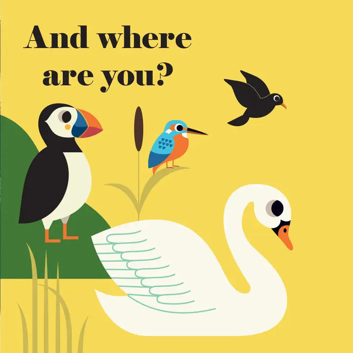 National Trust: Where's Mr Puffin? Felt Flaps Board Book