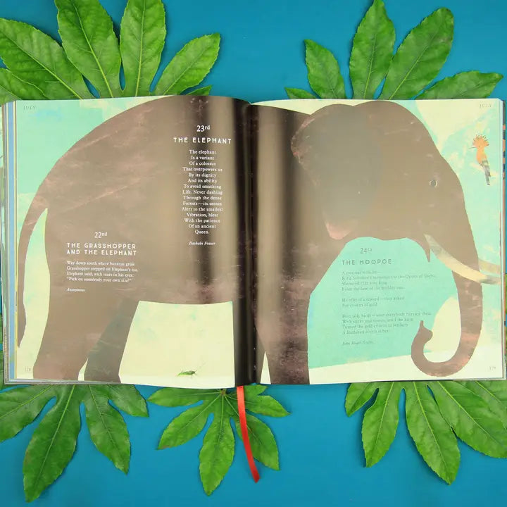 Tiger, Tiger, Burning Bright! Animal Poetry Hardback