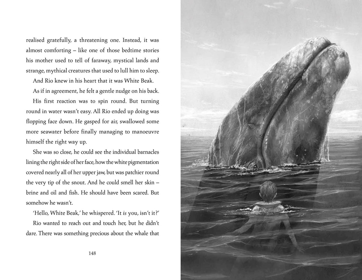 The Lost Whale Paperback by Hannah Gold