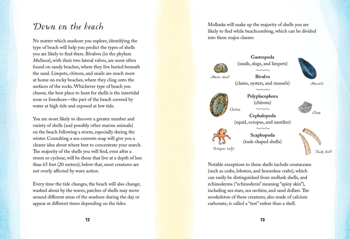 By the Sea Story Book