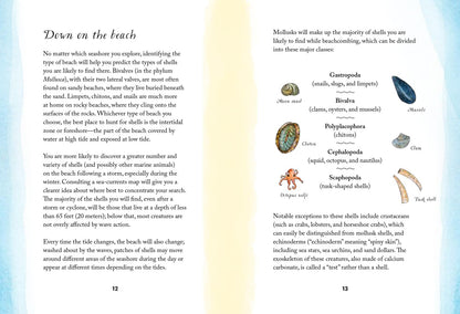 By the Sea Story Book