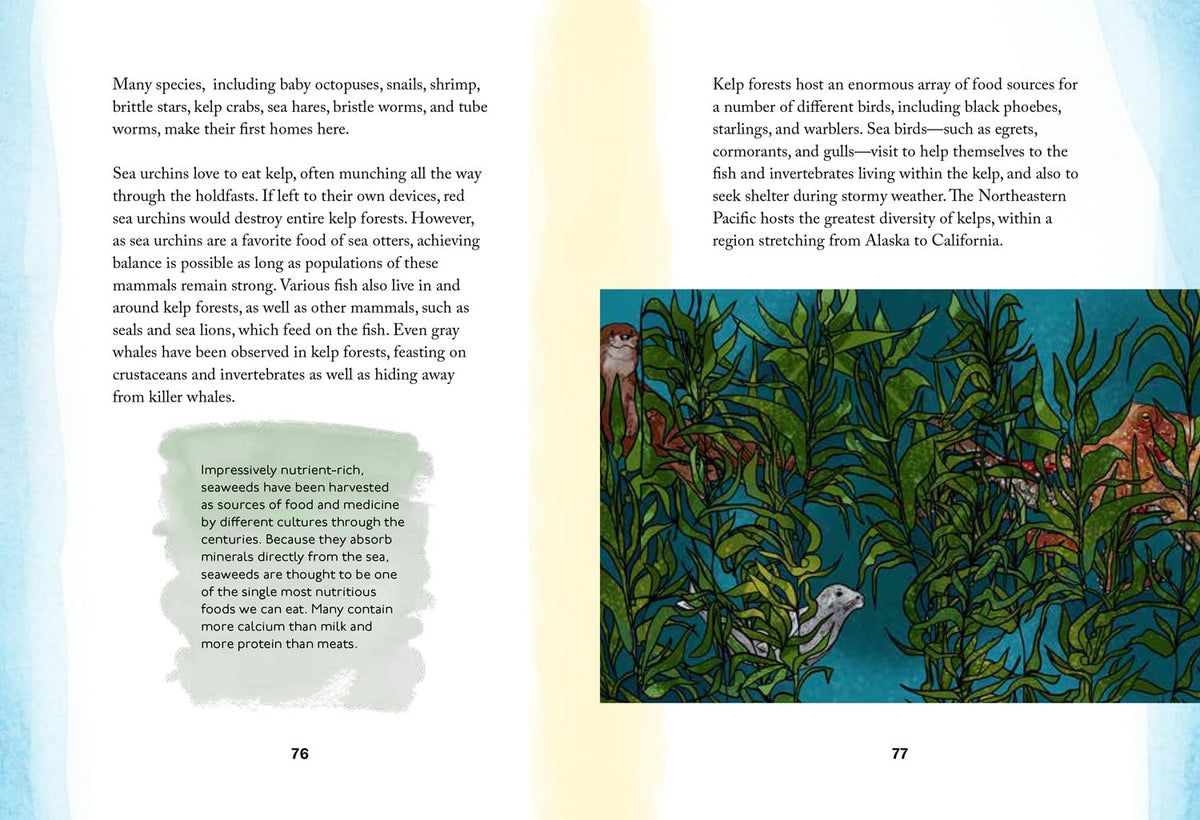 By the Sea Story Book