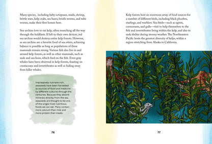 By the Sea Story Book