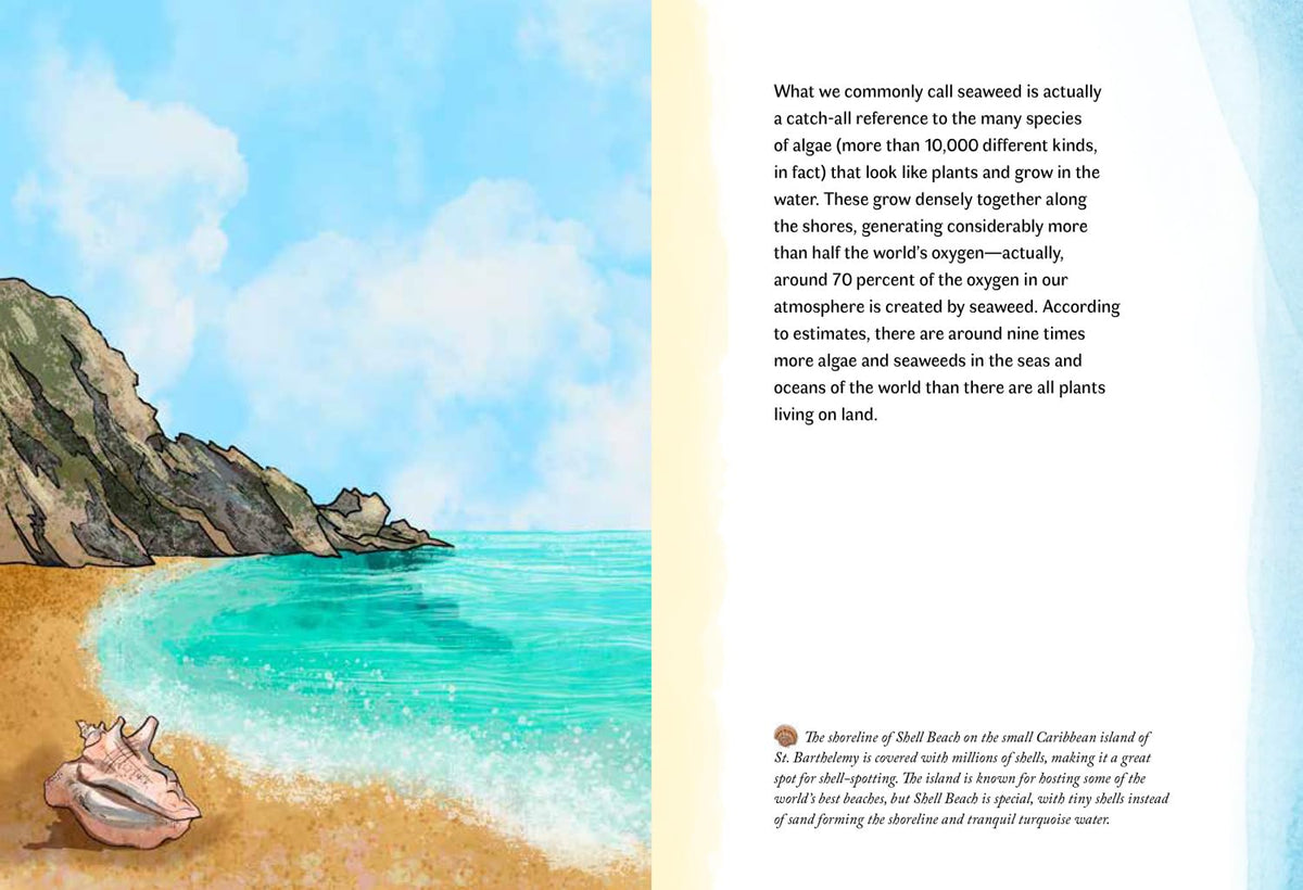 By the Sea Story Book