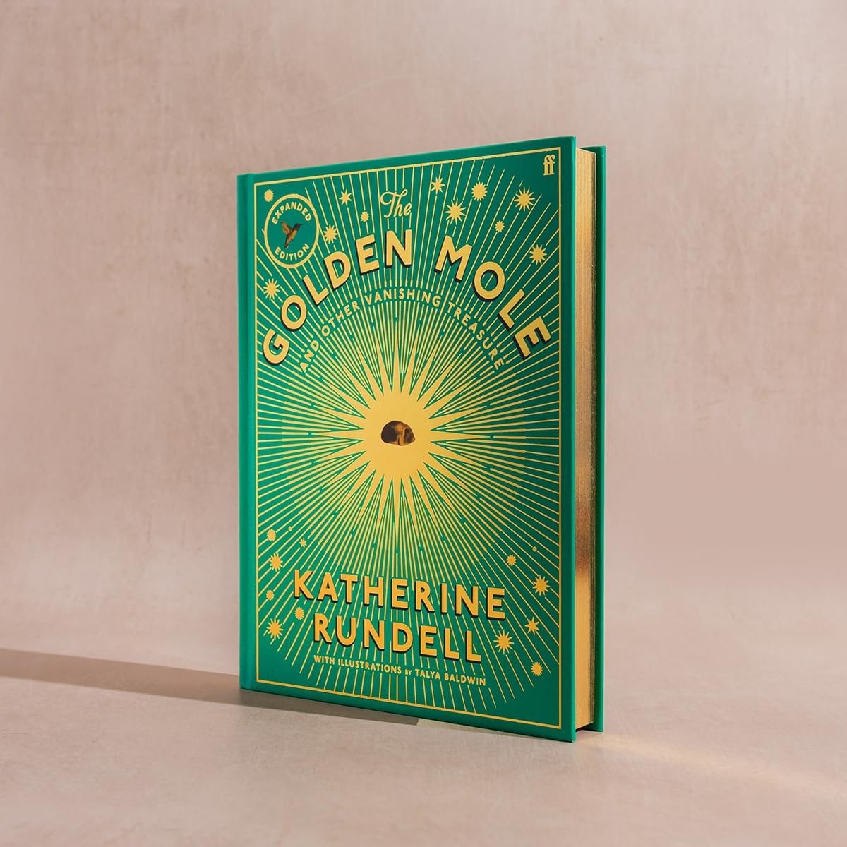 The Golden Mole Illustrated Hardback by Katherine Rundell