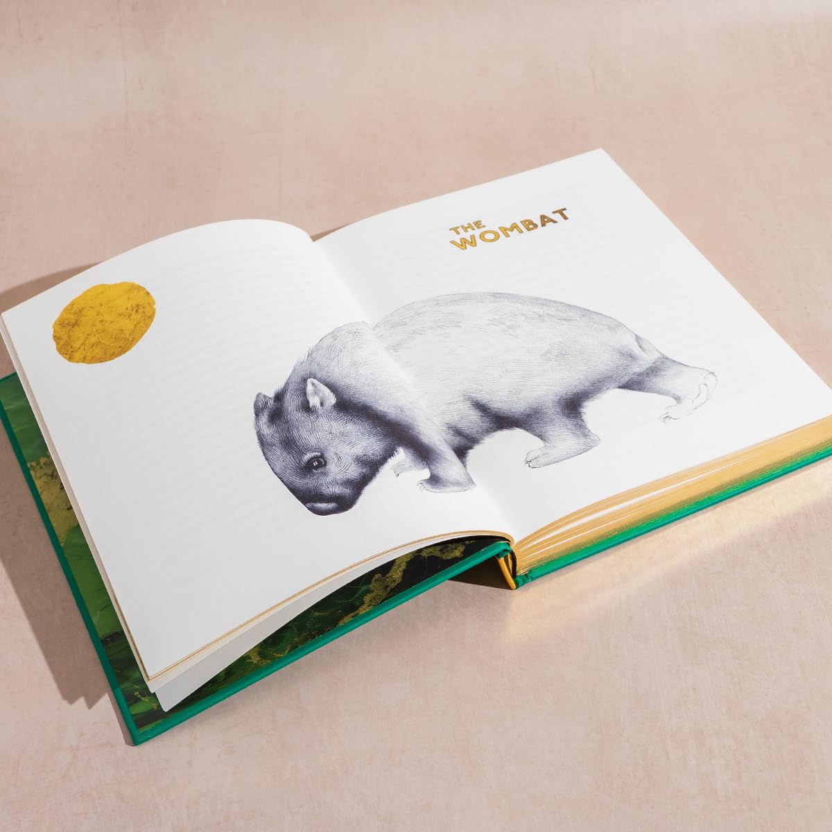 The Golden Mole Illustrated Hardback by Katherine Rundell