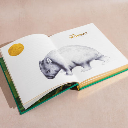 The Golden Mole Illustrated Hardback by Katherine Rundell
