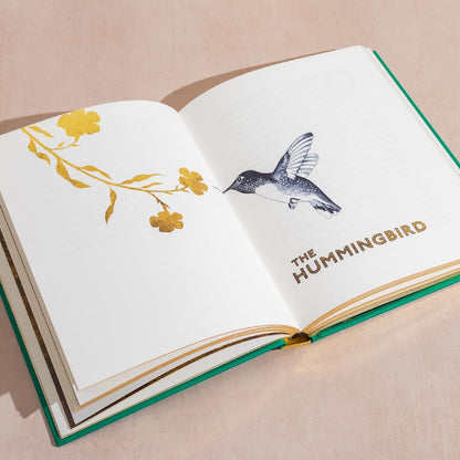 The Golden Mole Illustrated Hardback by Katherine Rundell