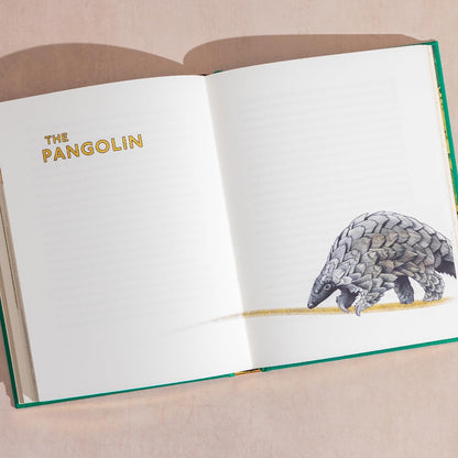 The Golden Mole Illustrated Hardback by Katherine Rundell