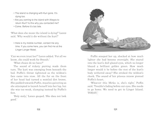 Land of the Last Wildcat Paperback by Lui Sit