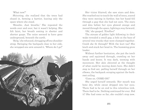 Land of the Last Wildcat Paperback by Lui Sit