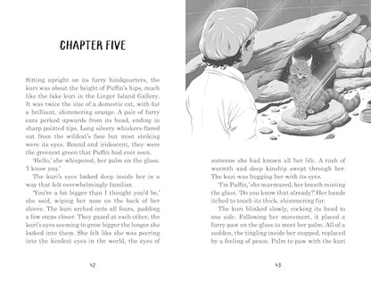 Land of the Last Wildcat Paperback by Lui Sit