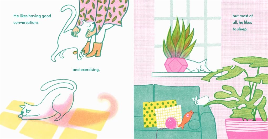 Where Is the Cat? Paperback by Eva Eland