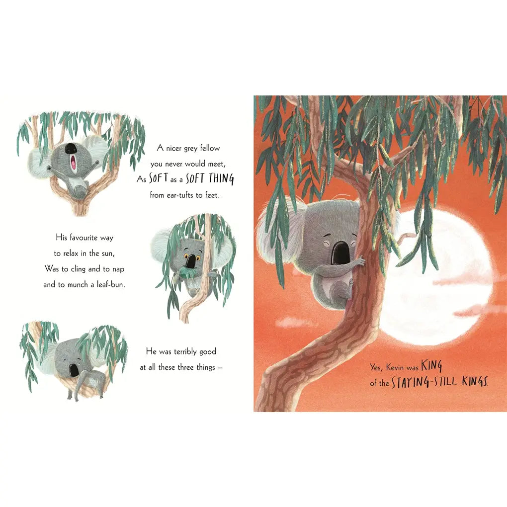 The Koala Who Could Paperback by Rachel Bright