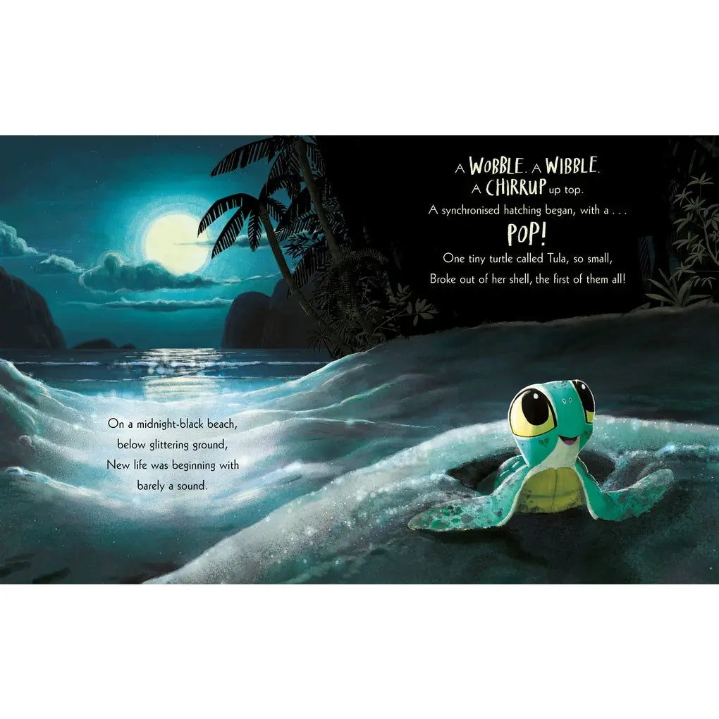 The Turtle Who Turned the Tide Hardback by Rachel Bright