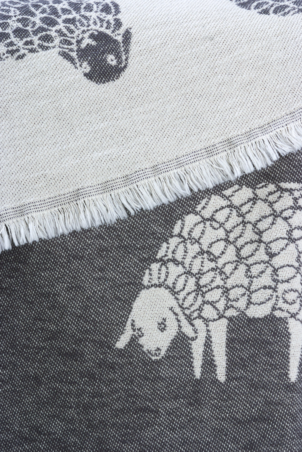 Black Mima Sheep Cotton Throw from J.J. Textile