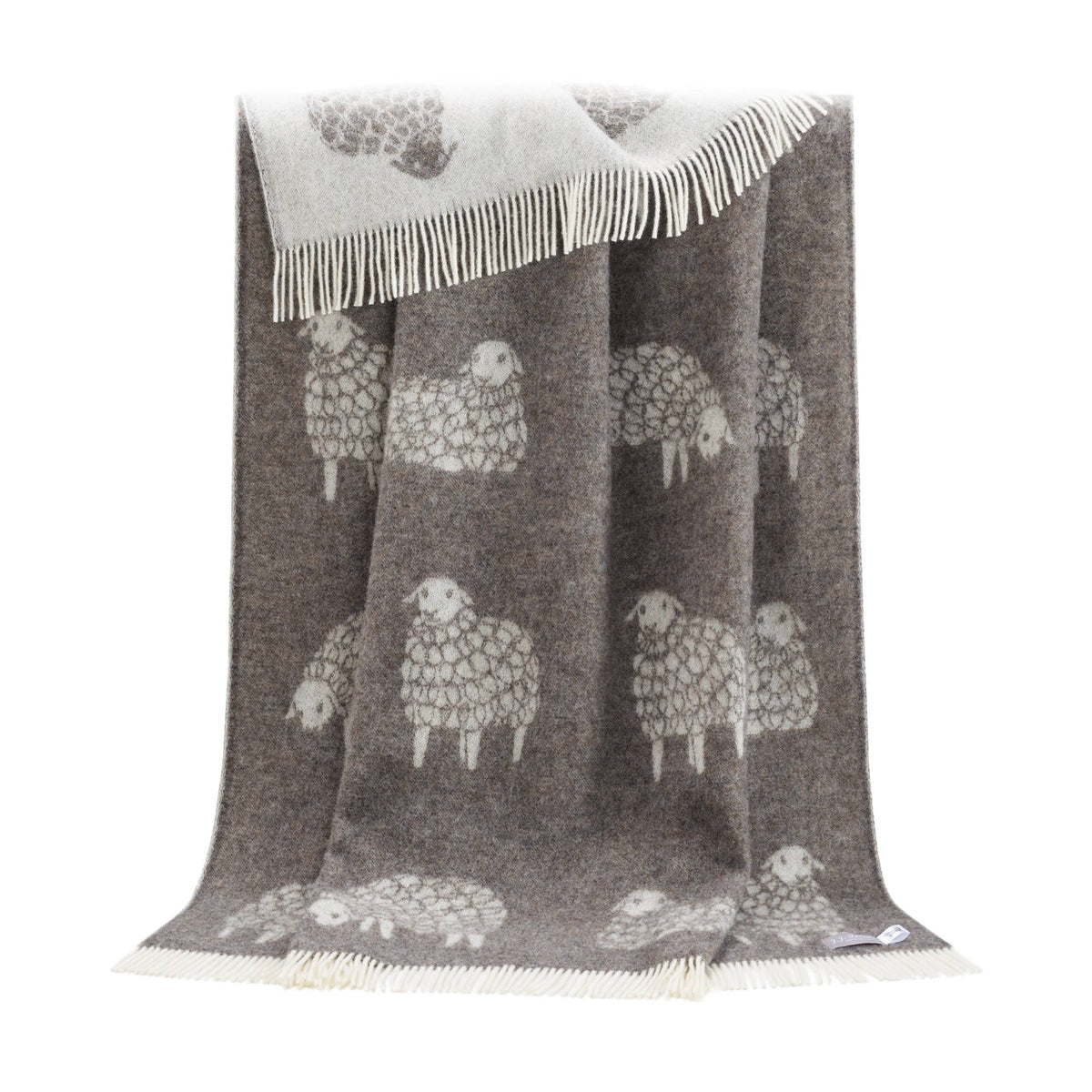 Dark Brown Mima Sheep Pure Wool Throw from J.J. Textile